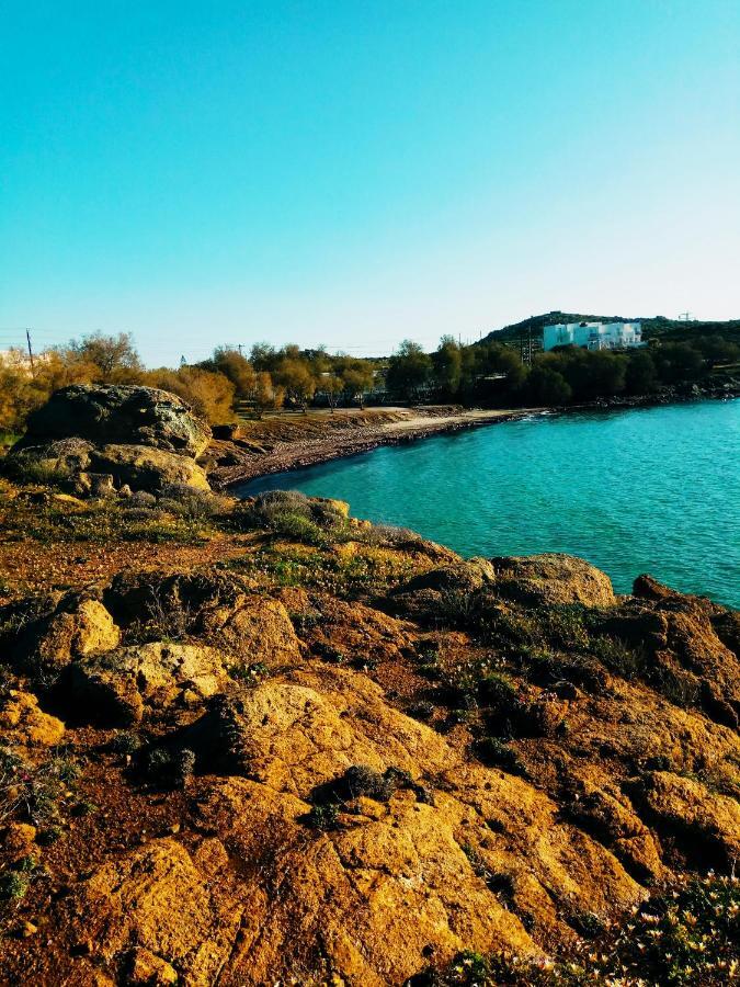 Villa Agapitos Στελίδα Εξωτερικό φωτογραφία